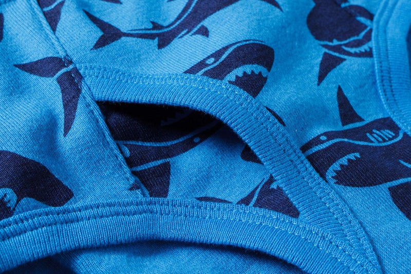 Boboking Little Boys Briefs Dinosaur Truck Toddler Kids Underwear (Pack of 6) 9/10Y Blue - Image 5